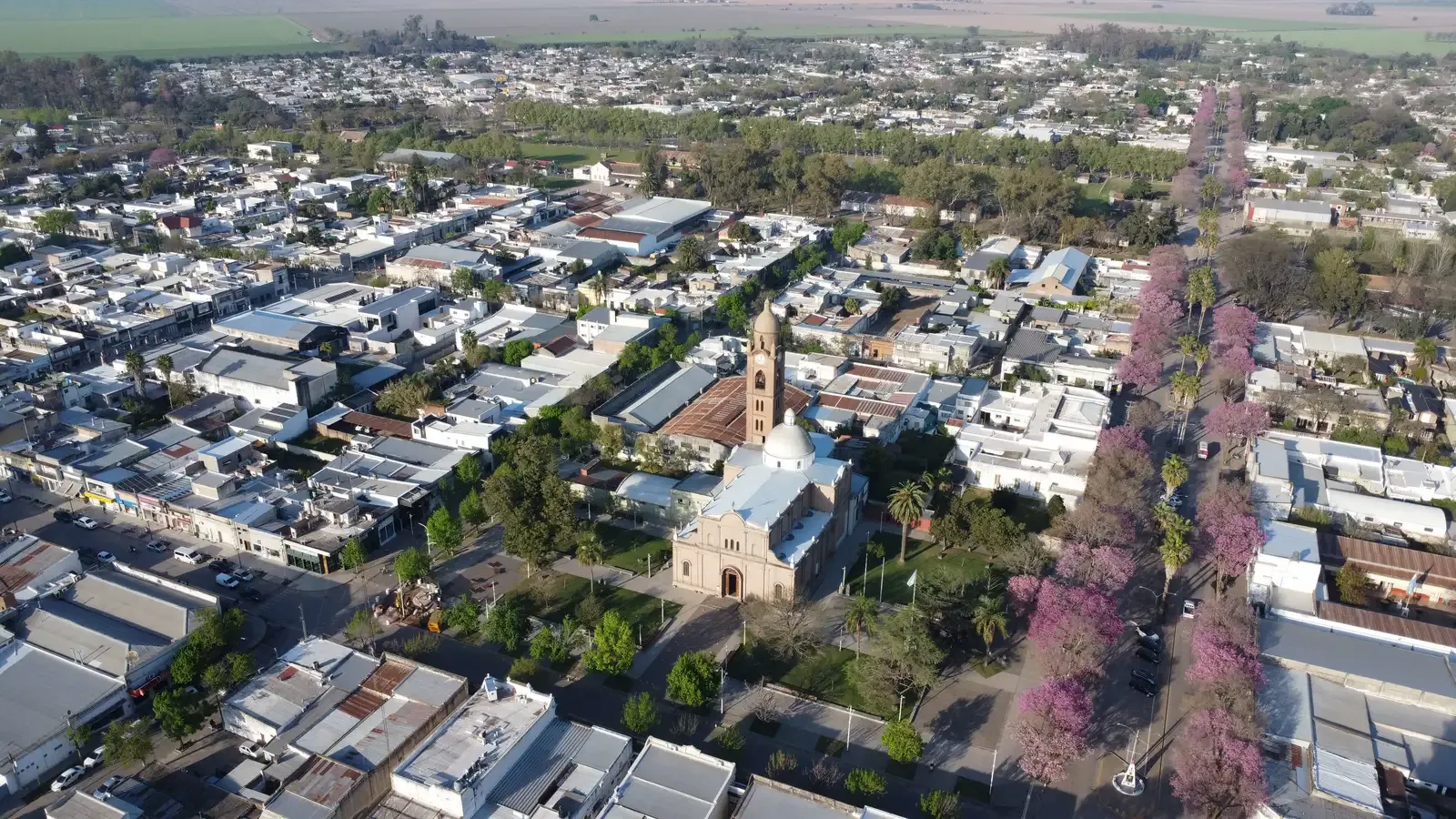 Vista aérea de una calle de Gálvez con lapachos en flor.